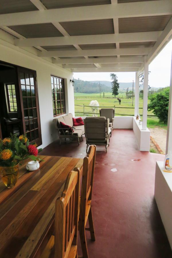 Out Of Plett Villa Plettenberg Bay Exteriör bild